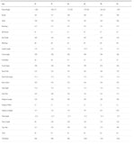 BMC Teammachine SLR01 MOD V4 Frameset | Size: 54